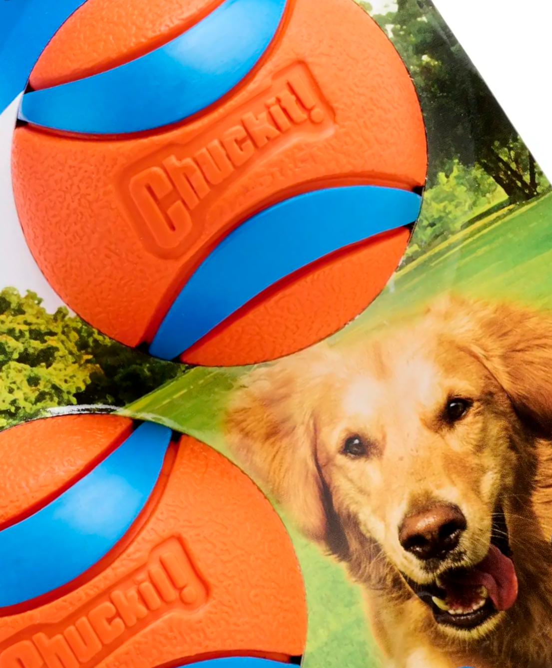 Chuckit UltraBounce Speelbal – Kleine Stuiterbal voor Honden
