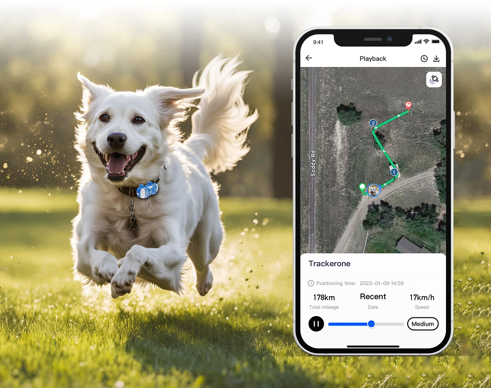 TrackiPet 4G Mini GPS Tracker voor Katten en Honden
