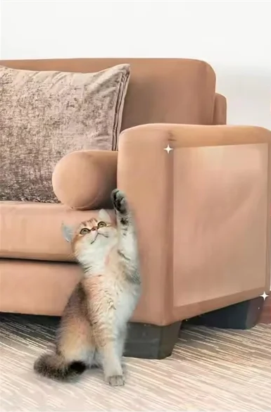 ScratchStop Zelfklevende Anti-Krasschild voor Katten