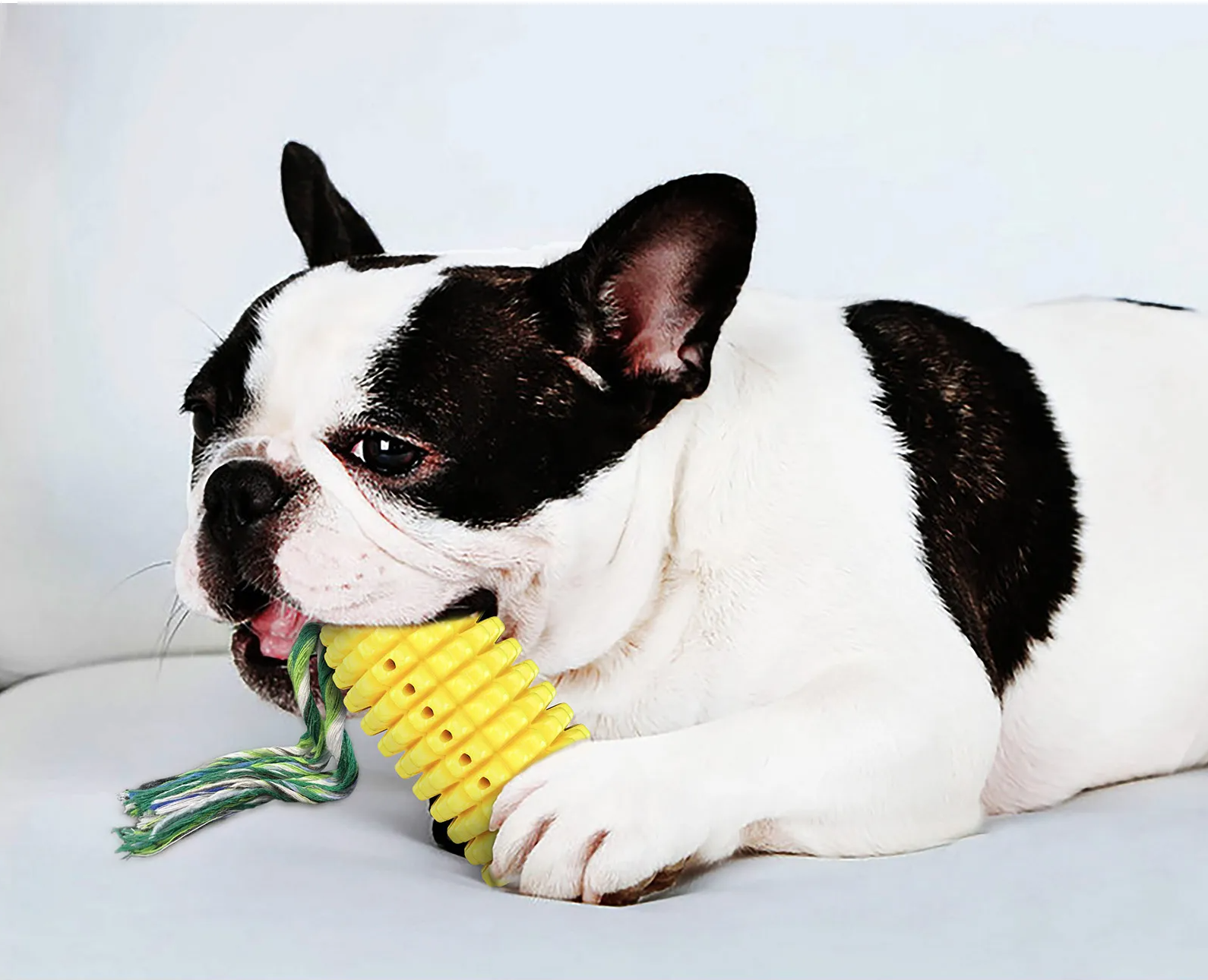 SPLASHBITE Drijvend Piepspeeltje voor Honden