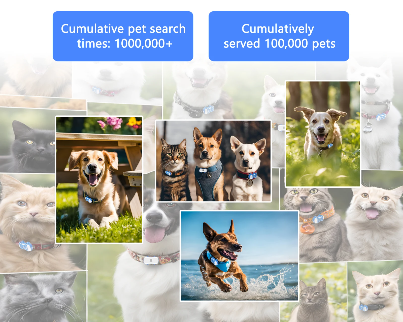 TrackiPet 4G Mini GPS Tracker voor Katten en Honden