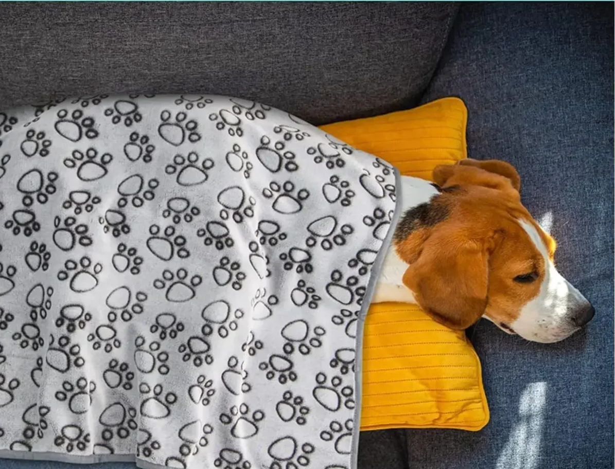 SnugglePaws CozyCotton – Schattige & Warme Huisdierendeken