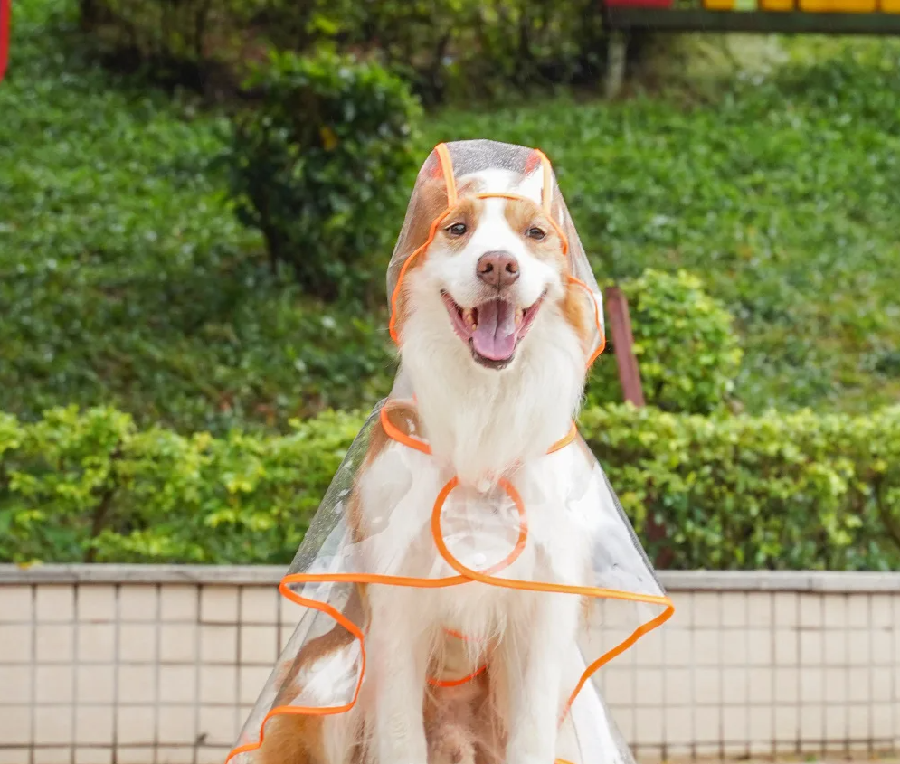 ClearPaw Transparante Regenjas voor Honden