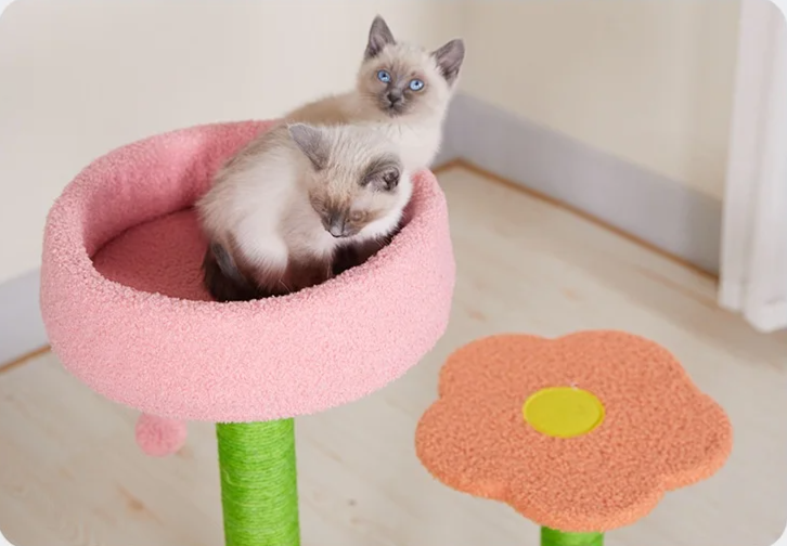 KlimPaws BloomNest Krabpaal met Springplatform en Bloemvormig Kattennest