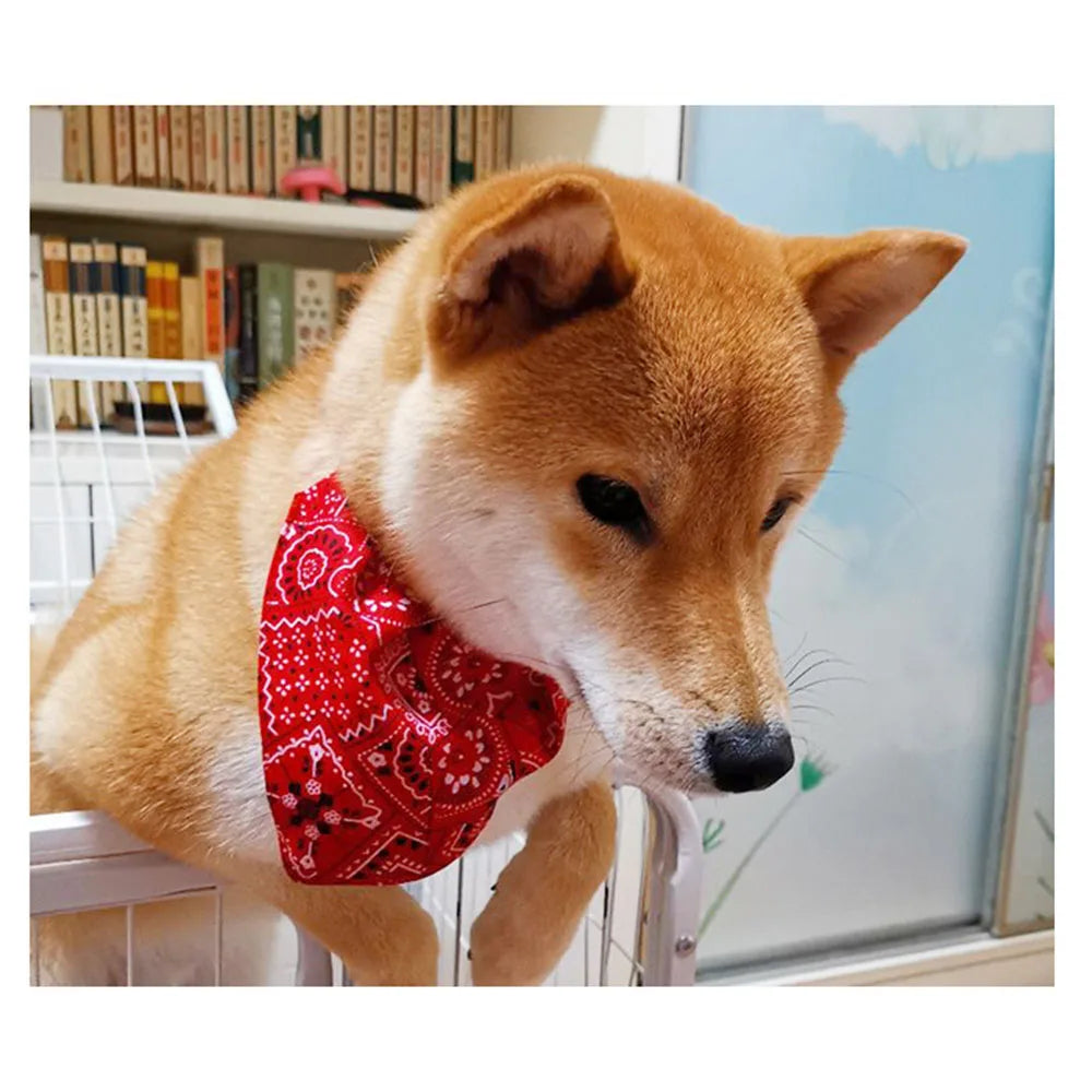 PawStyle Bandana Halsband