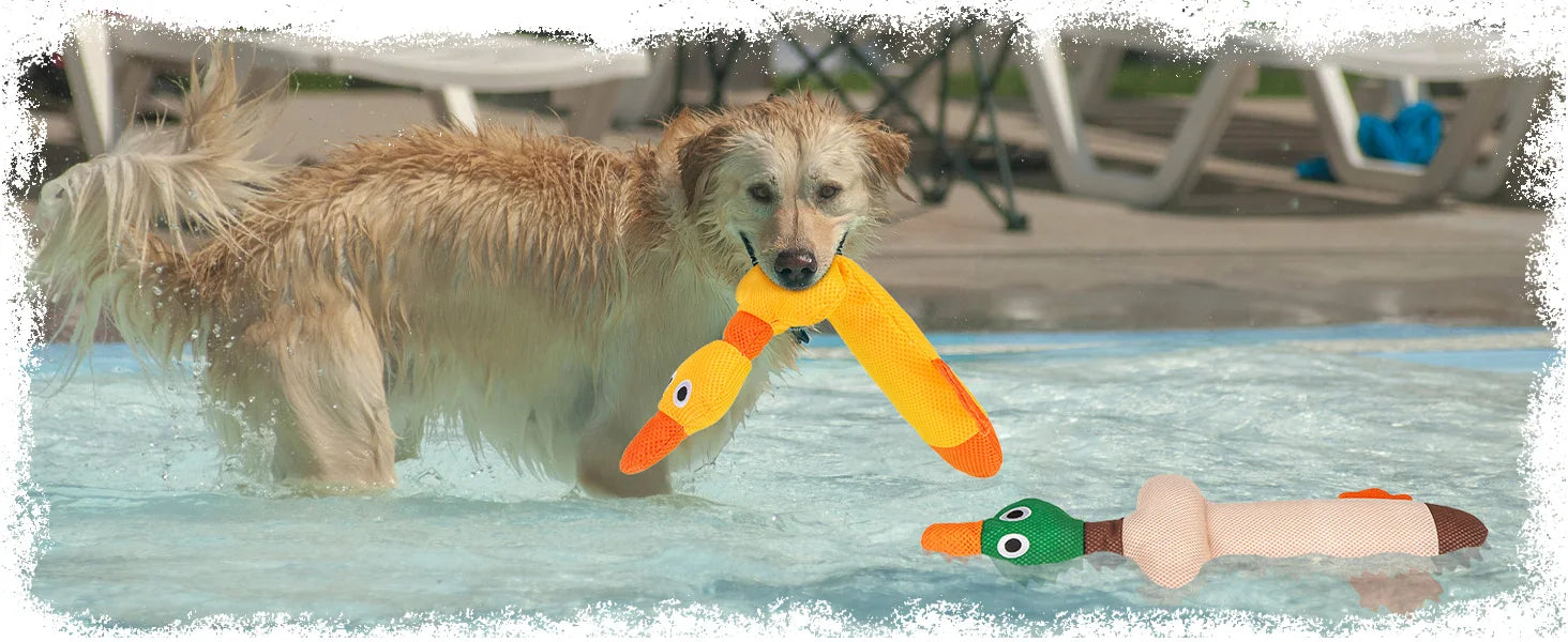 ZiziFloat Honden Waterspeelgoed