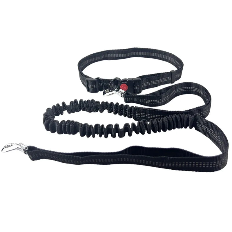 Handsfree Hondenriem met Heupgordel – Verstelbare Polyester Riem