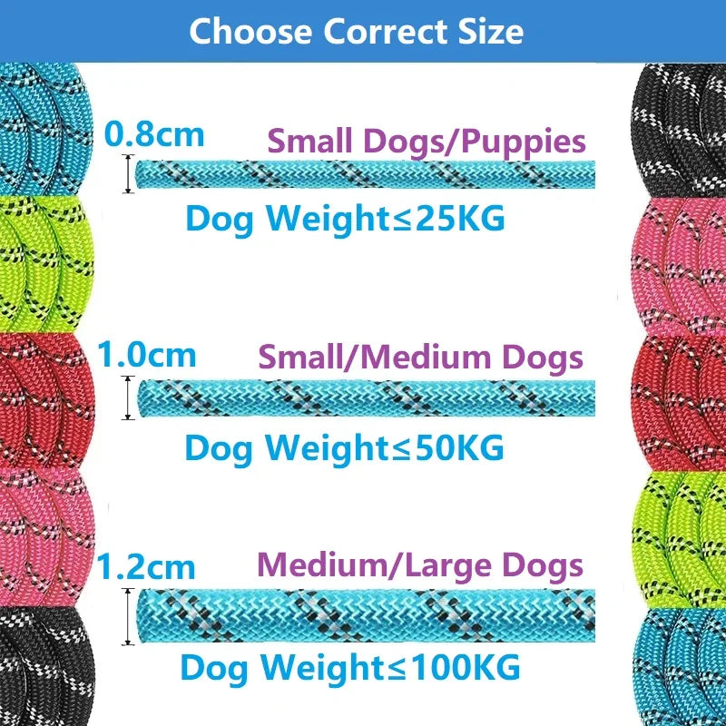 Sterke Nylon Hondenriem 150cm, 200cm, 300cm – Met Zacht Handvat en Haak
