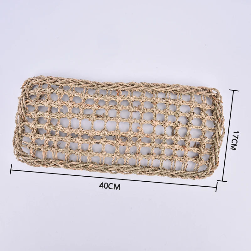 Hagedis Lounger Hangmat Mat