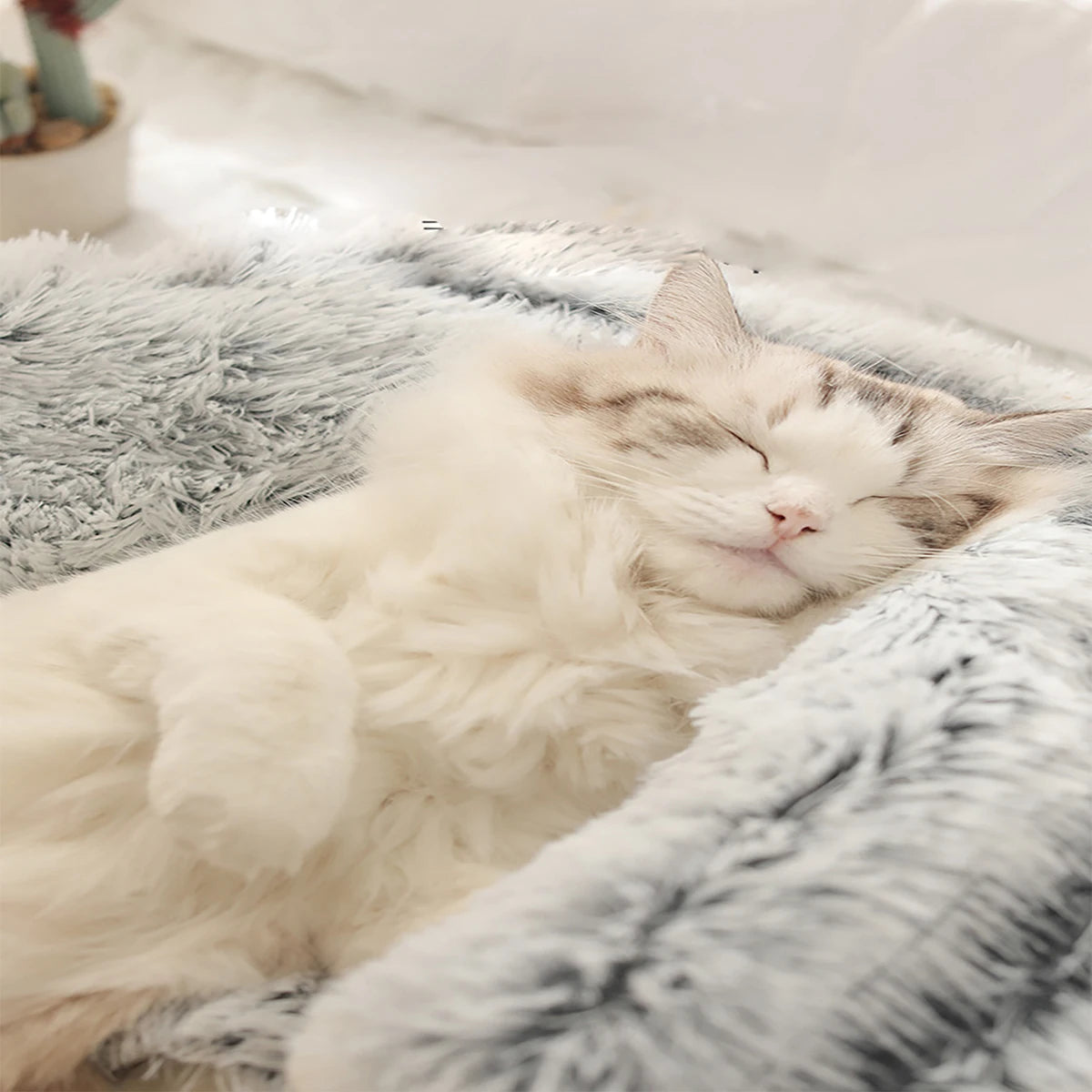 Pluizig Doughnut Kattenbed met Hoed – Zacht & Warm voor Kleine Huisdieren