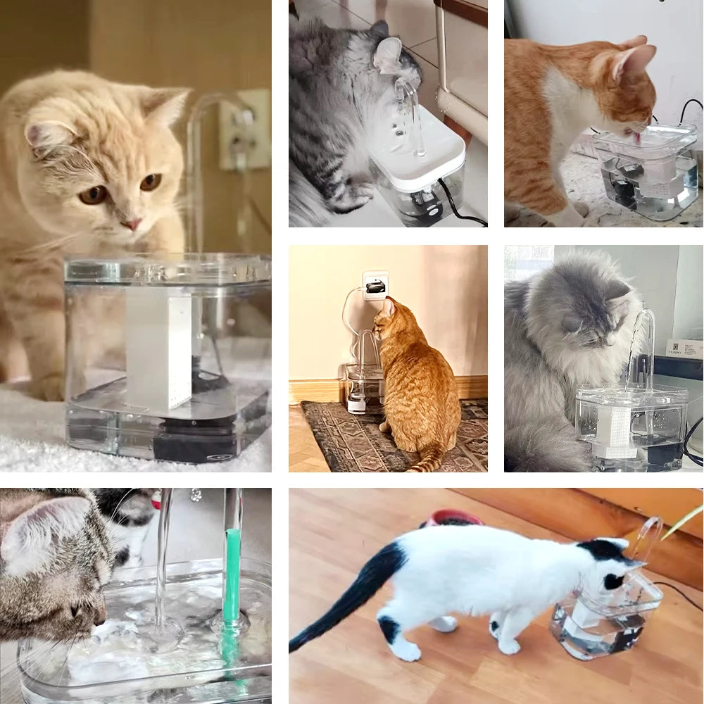 Kattenfontein 1.5L – Automatisch, Stil, BPA-vrij en Transparant Design