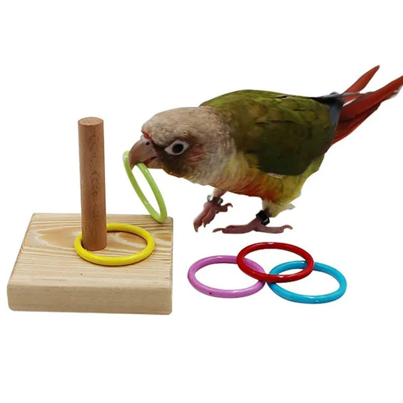 Vogeltrainingsspeelgoed Hout & Kunststof – Educatief voor papegaaien