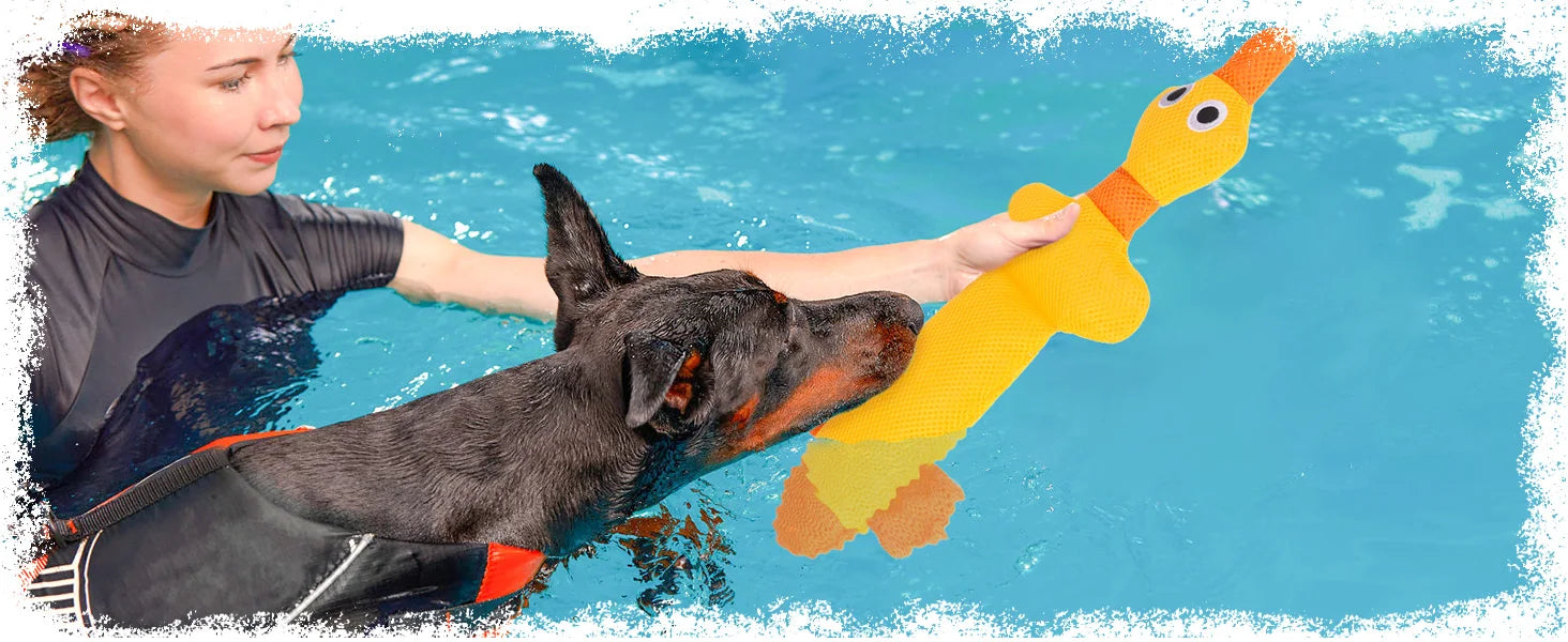 ZiziFloat Honden Waterspeelgoed