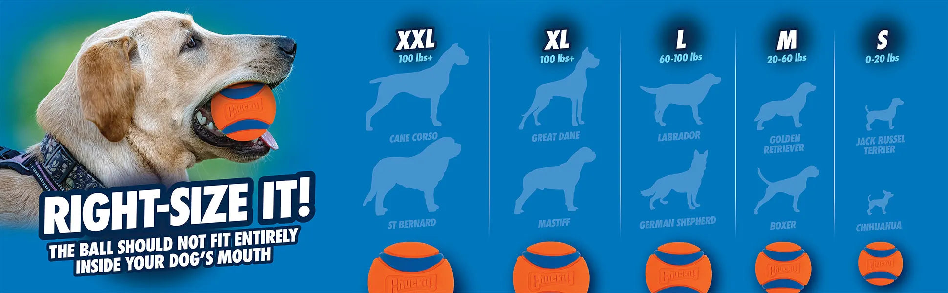 Chuckit UltraBounce Speelbal – Kleine Stuiterbal voor Honden
