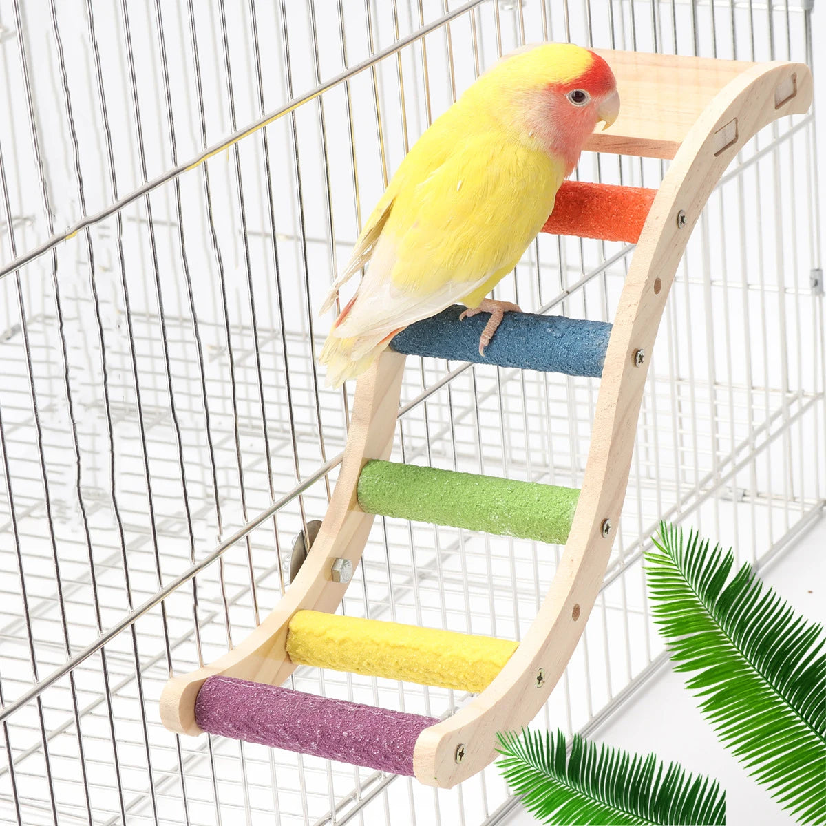 Kauwbaar vogelklimspeelgoed
