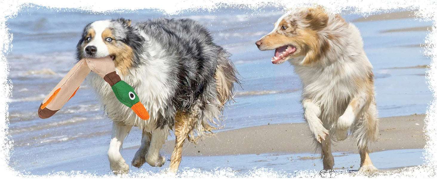 ZiziFloat Honden Waterspeelgoed