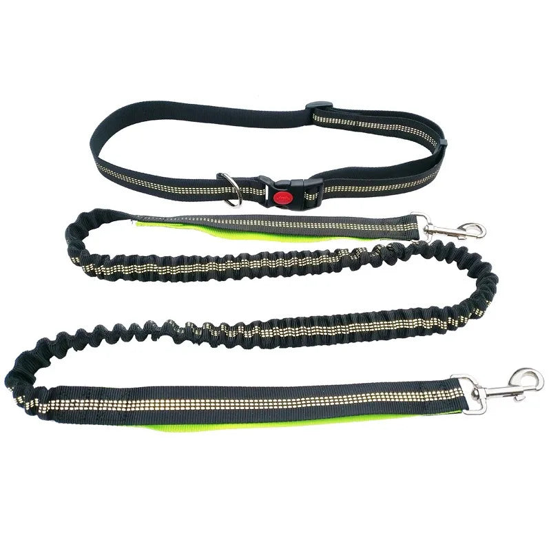 Handsfree Hondenriem met Heupgordel – Verstelbare Polyester Riem
