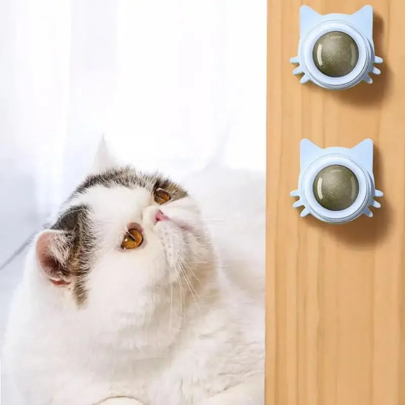 MINTYPLAY Lickbare Kattenkruidenbal – Snack, Speelgoed & Tandverzorging in Één!