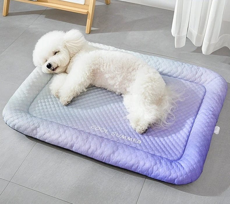 COOLPAWS – Verkoelend Huisdierenmatras voor Hond & Kat