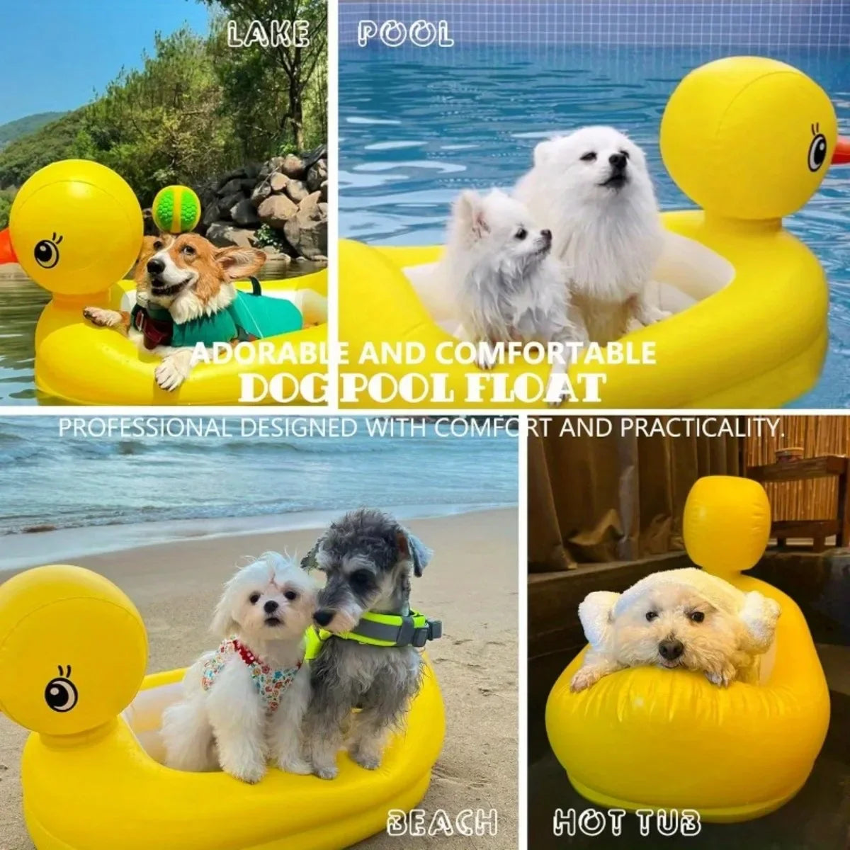 SwimBuddy 2-in-1 Hondenzwembad Float