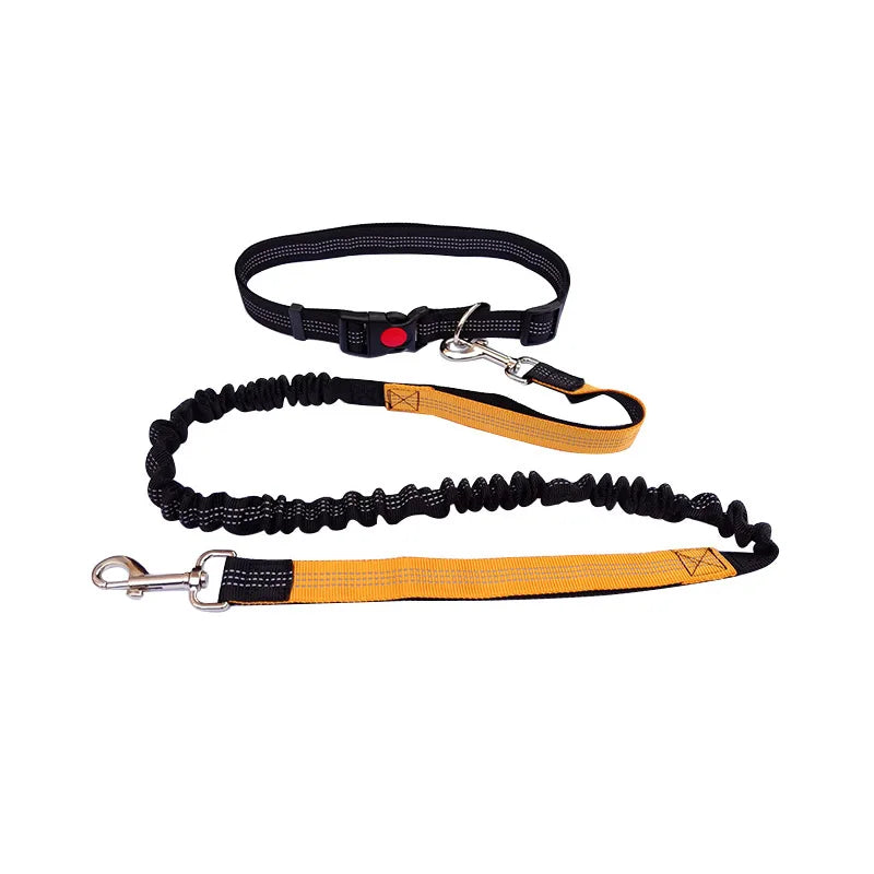 Handsfree Hondenriem met Heupgordel – Verstelbare Polyester Riem