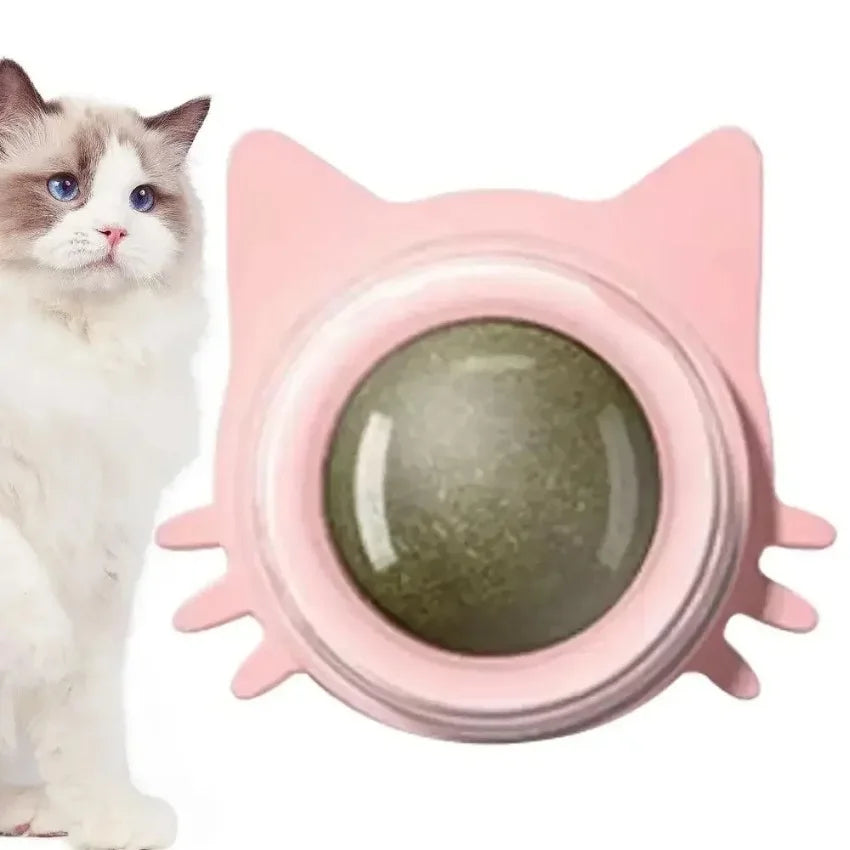 MINTYPLAY Lickbare Kattenkruidenbal – Snack, Speelgoed & Tandverzorging in Één!