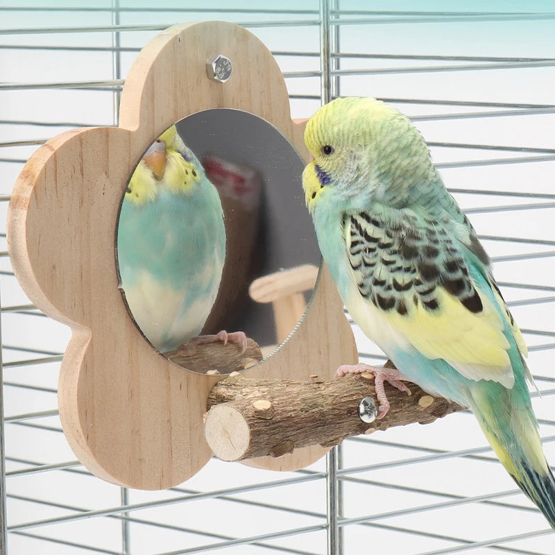 Vogelzitstok hout met spiegel – Natuurlijk zitplatform S/M formaat