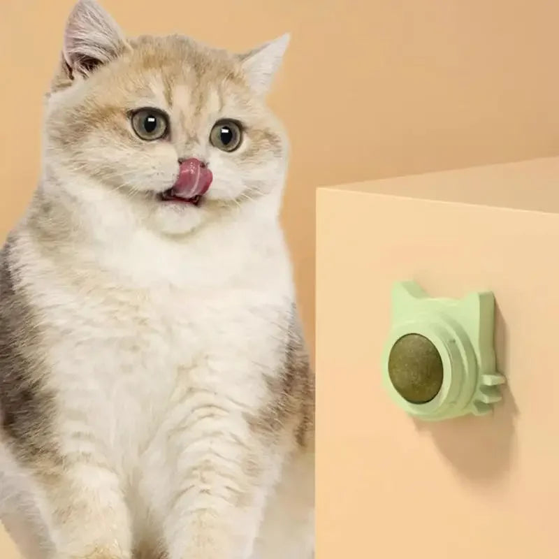 MINTYPLAY Lickbare Kattenkruidenbal – Snack, Speelgoed & Tandverzorging in Één!