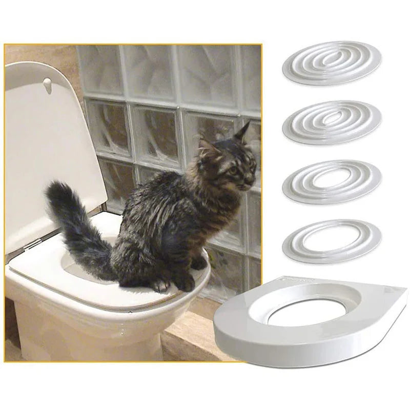 Kitten Zindelijkheidstraining Systeem