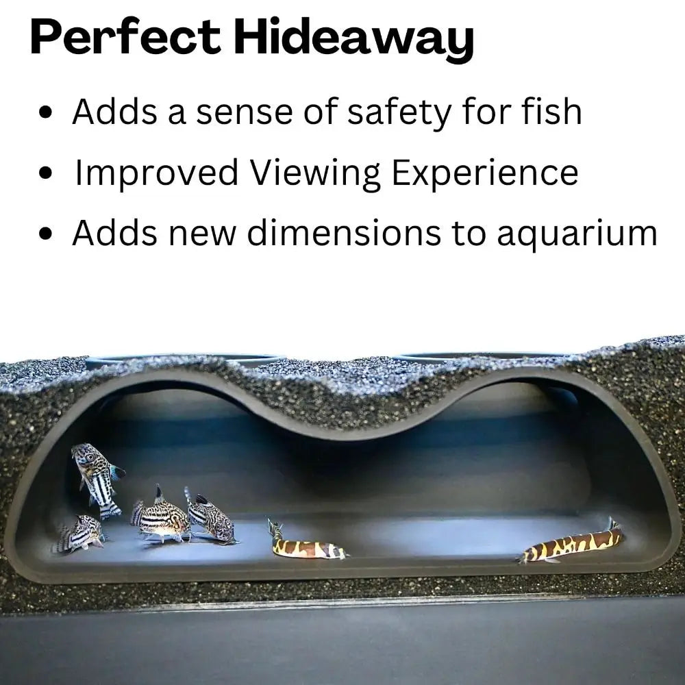 Aquarium Ondergrondse Tunnelgrot