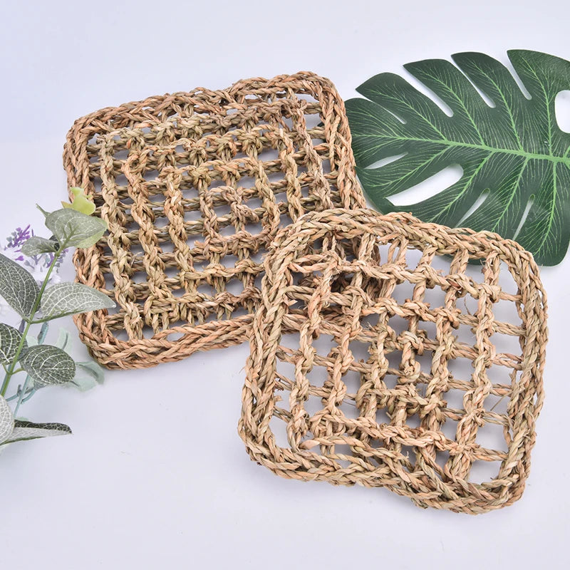 Hagedis Lounger Hangmat Mat