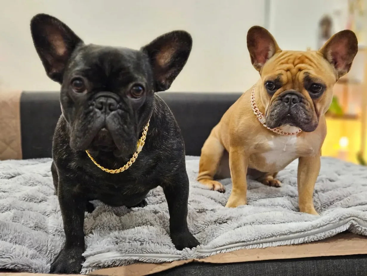 RoyalPaw Diamond Cuban Hondenketting