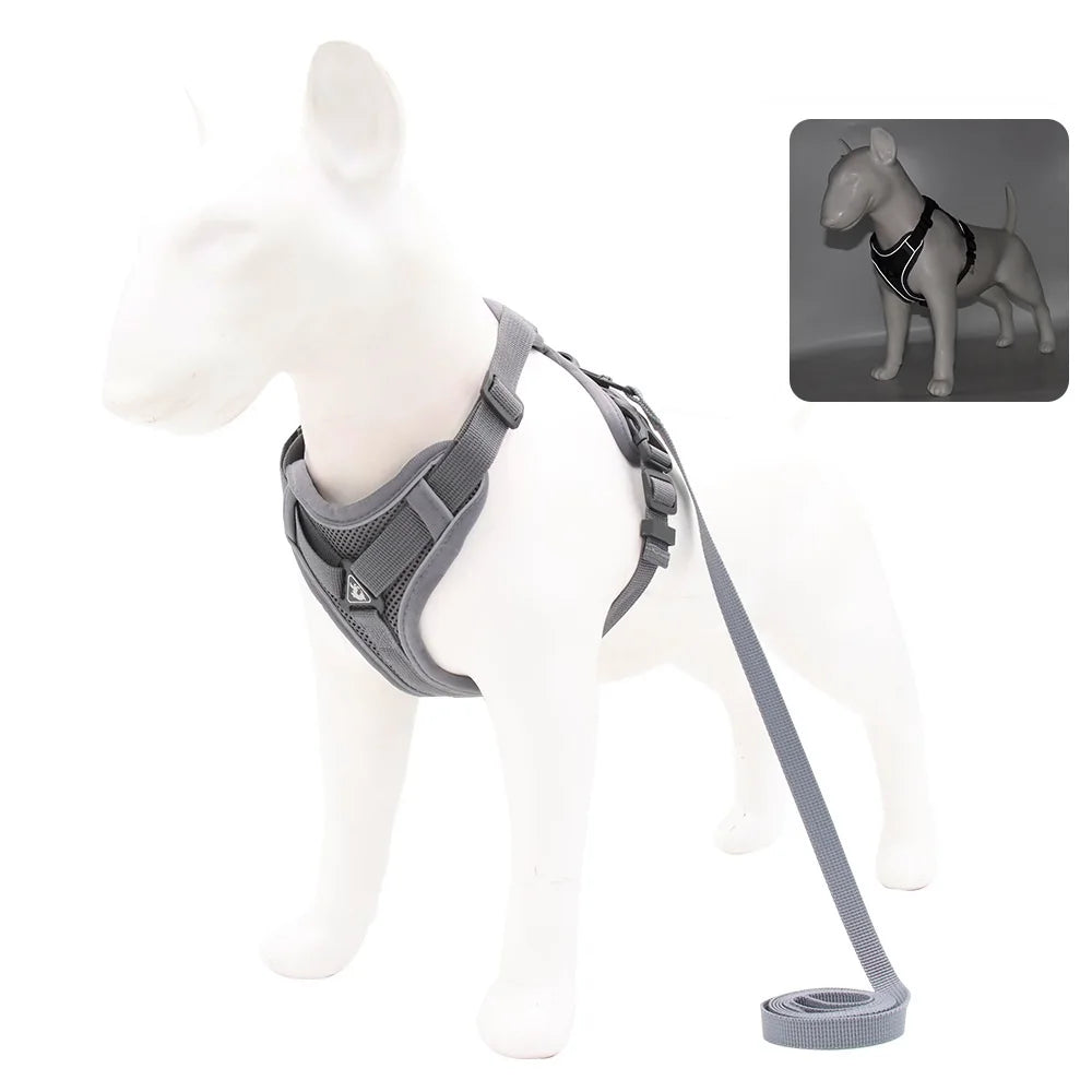 PawSecure Harnas & Lijn Set