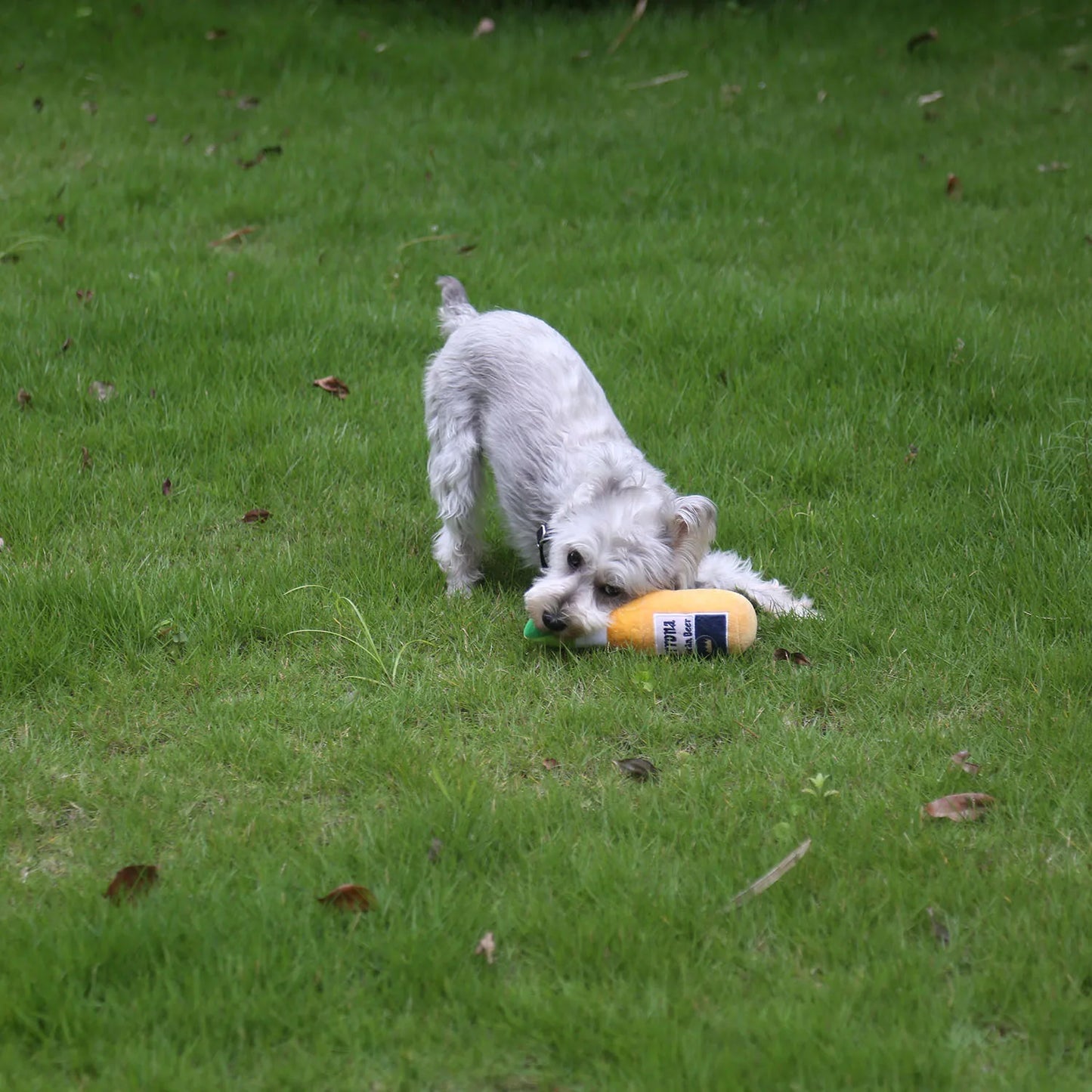 PawJoy Gele Wijnfles Interactief Hondenspeelgoed