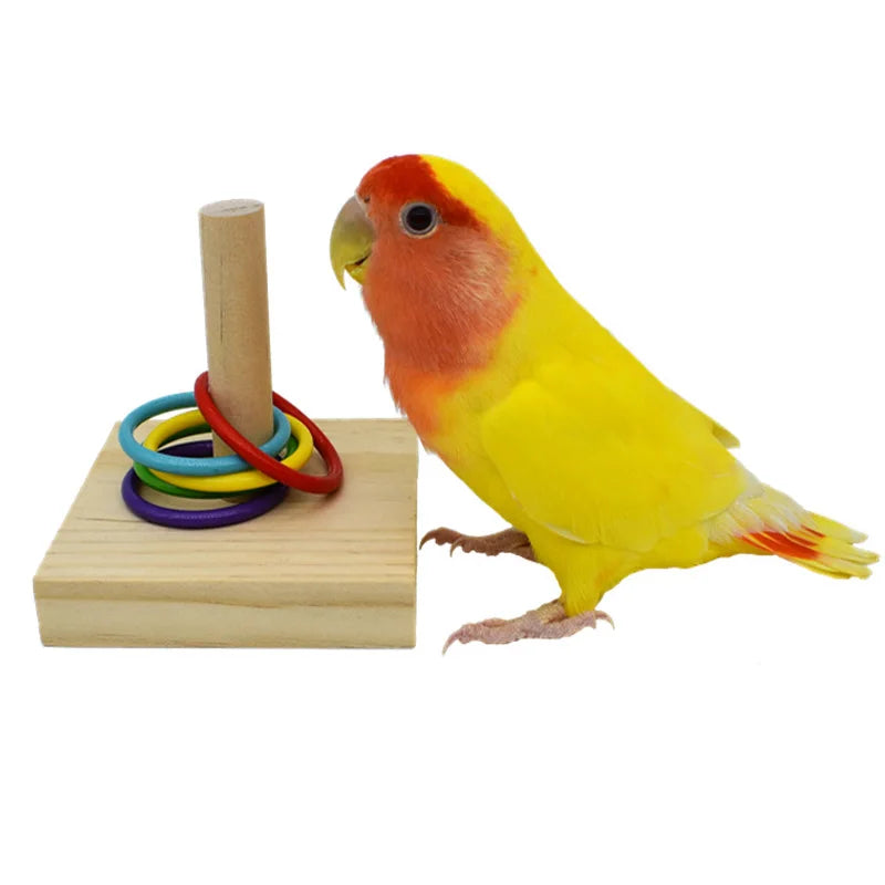 Vogeltrainingsspeelgoed Hout & Kunststof – Educatief voor papegaaien