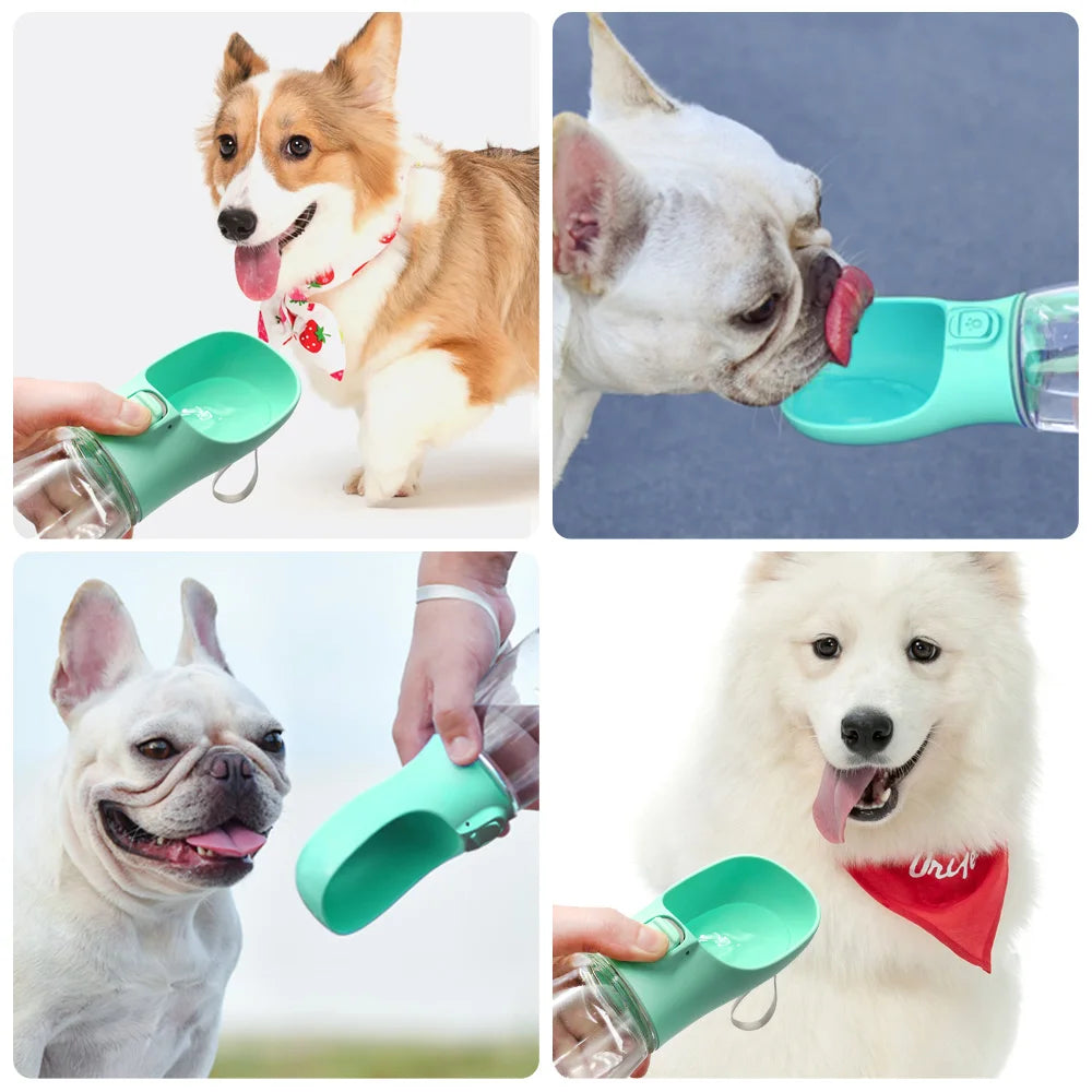 HYDROPAW – Draagbare Waterfles voor Honden & Katten