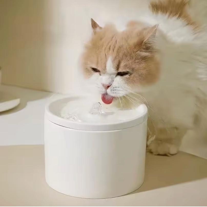 Voer & drinkbakken voor honden - Naturel Dierenwinkel