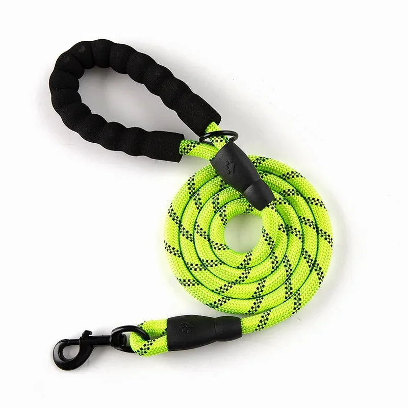 Reflecterende Nylon Hondenriem 150cm – Comfort & Zichtbaarheid