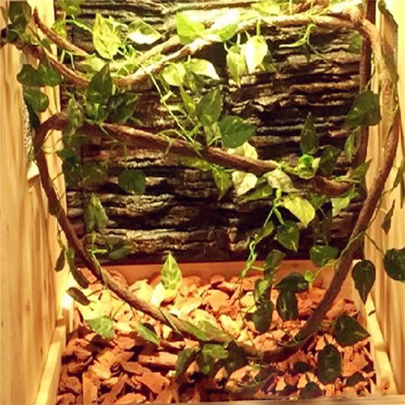 Flexibele klimtakken voor terrariums