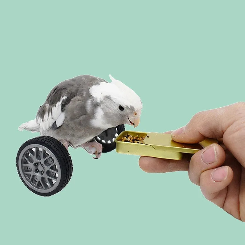 Creatief papegaaienbalansspeelgoed