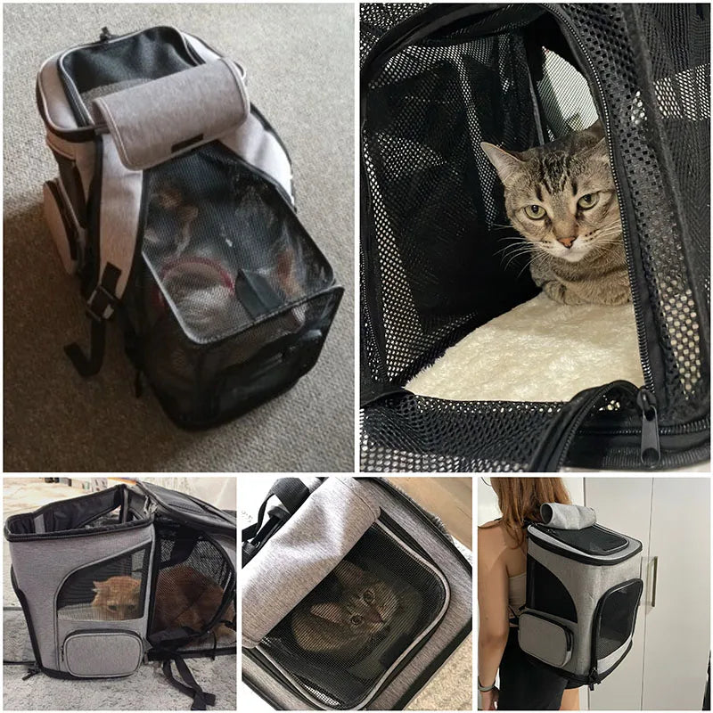Ademende Katten Reisdraagrugzak – Nylon, Uitbreidbaar, 6,5 kg
