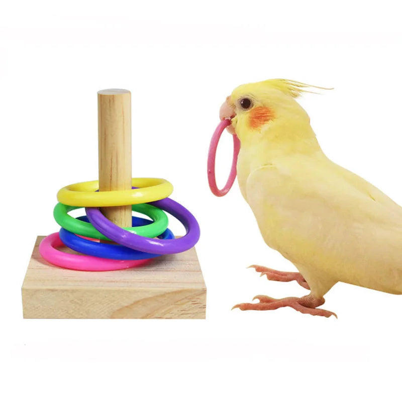 Vogeltrainingsspeelgoed Hout & Kunststof – Educatief voor papegaaien