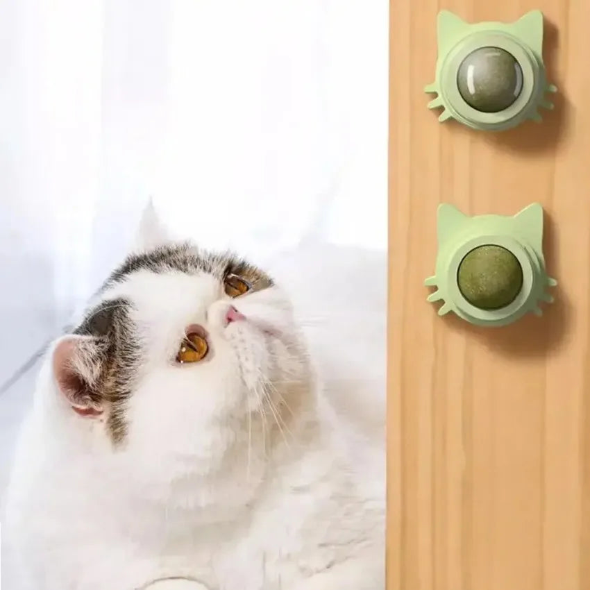 MINTYPLAY Lickbare Kattenkruidenbal – Snack, Speelgoed & Tandverzorging in Één!