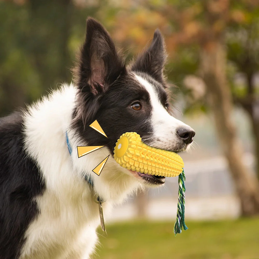 SPLASHBITE Drijvend Piepspeeltje voor Honden