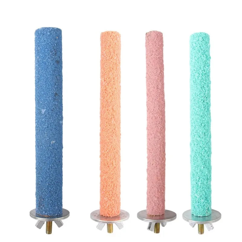 Willekeurige kleuren papegaaienzitstok