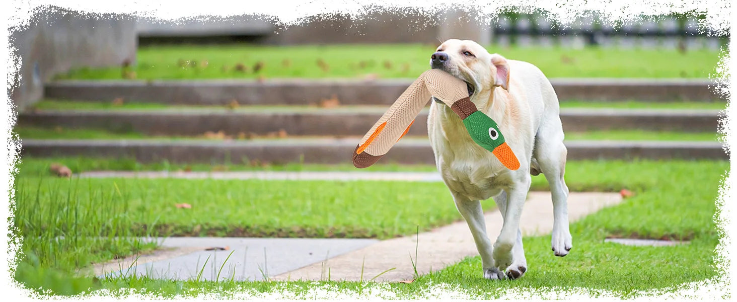 ZiziFloat Honden Waterspeelgoed