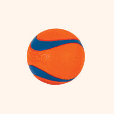 Chuckit UltraBounce Speelbal – Kleine Stuiterbal voor Honden