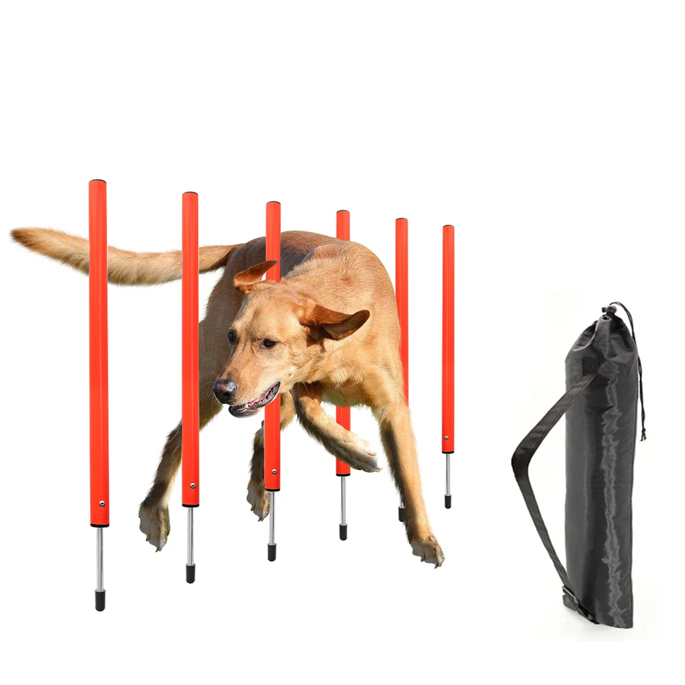 AgiliPro Hondensport Trainingsset