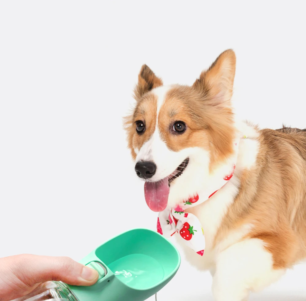 HYDROPAW – Draagbare Waterfles voor Honden & Katten