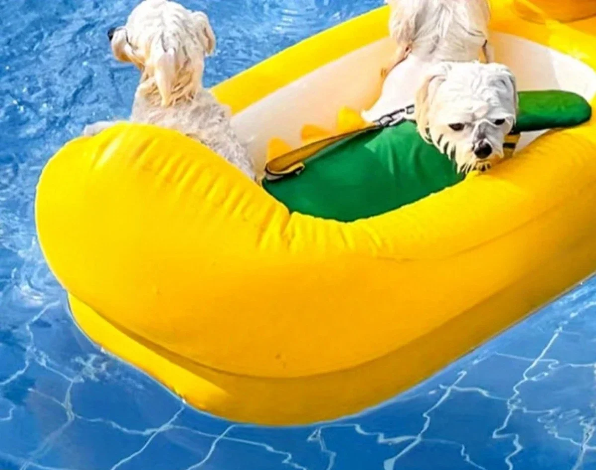 SwimBuddy 2-in-1 Hondenzwembad Float